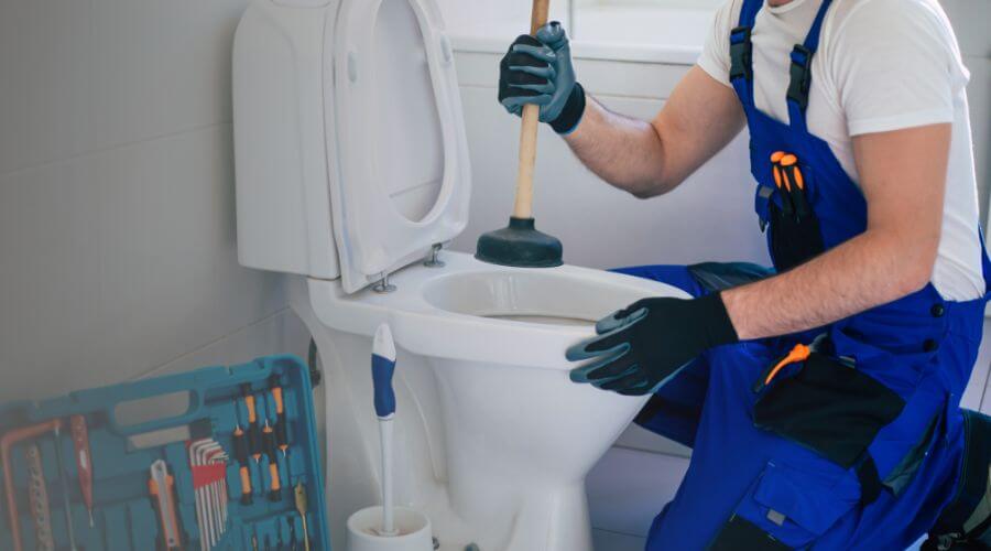 Local annual plumbing maintenance in Tyaskin, MD